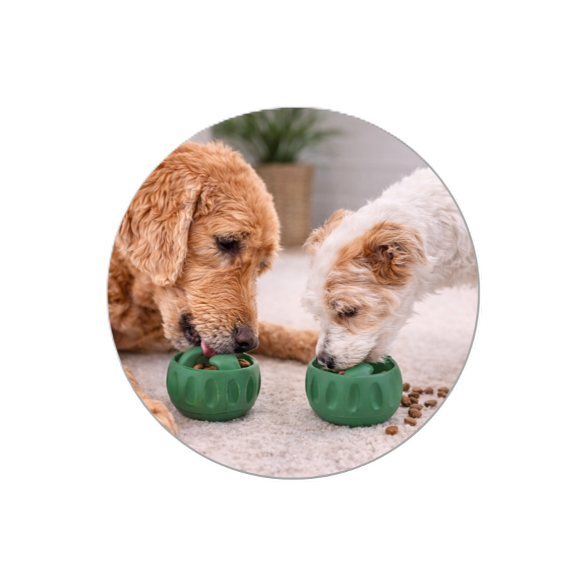 Feeding & Care