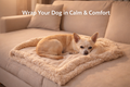 CalmPaws™ Anti-Anxiety Snuggle Blanket for Dogs