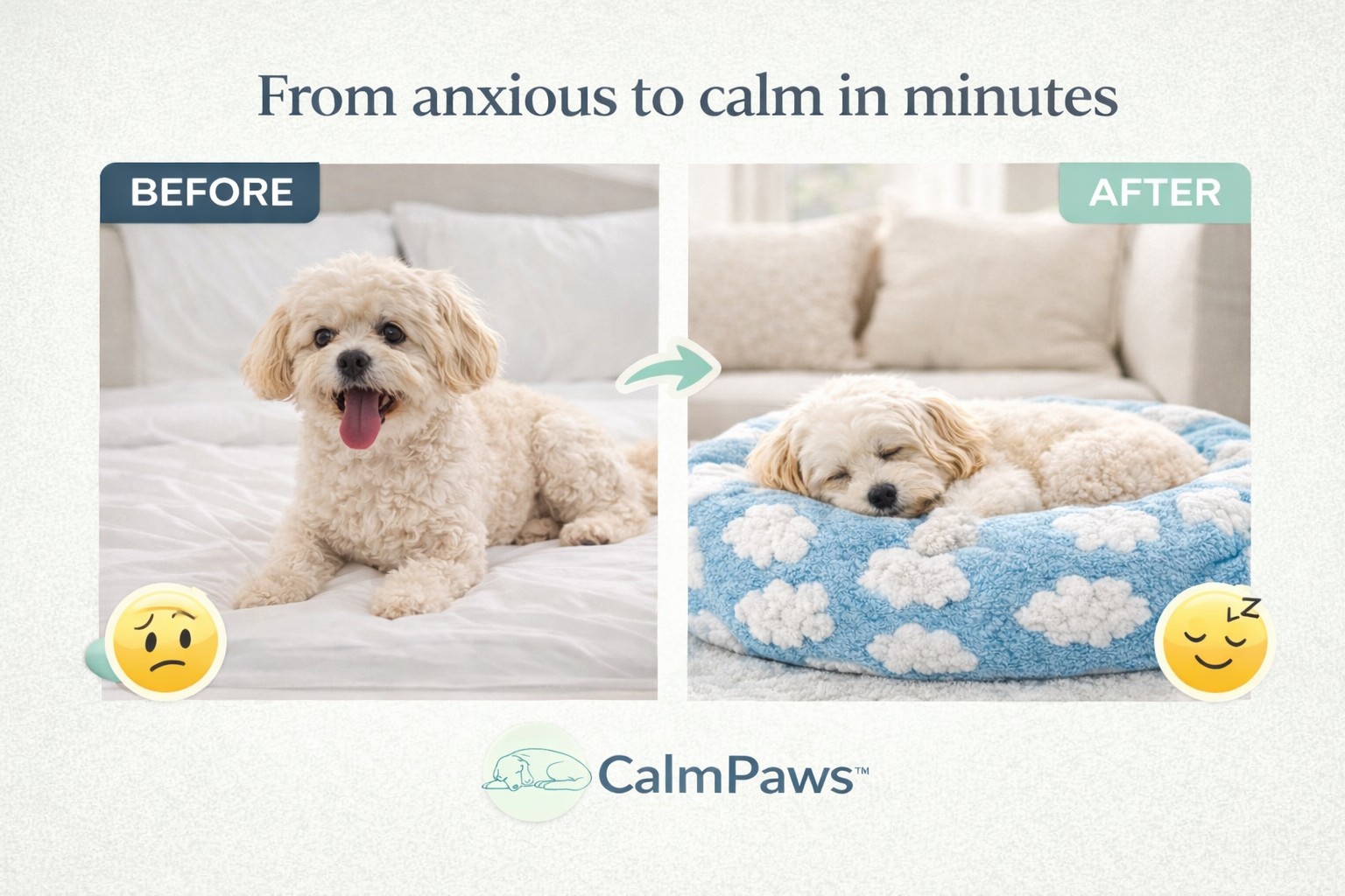 CalmPaws™ Anti-Anxiety Dog Bed – Deep Sleep & Stress Relief